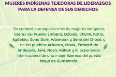 Pueblos indígenas participantes