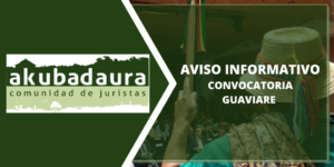 Lee más sobre el artículo Convocatoria Guaviare