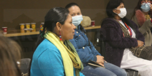 Lee más sobre el artículo Encuentro Mujeres indígenas, violencia sexual y acceso a la justicia