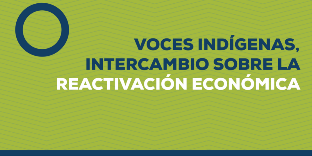 Lee más sobre el artículo Voces indígenas, intercambio sobre la reactivación económica